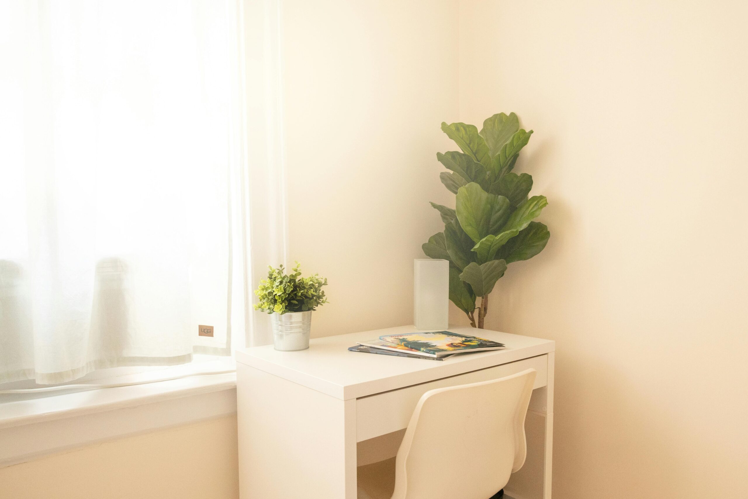 A minimalist white desk setup illuminated by natural light, featuring plants and magazines for a cozy ambiance.